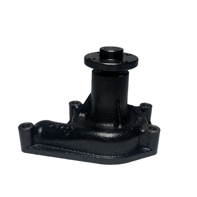 Avantage Pompa idrica per motori C490BPG 490B-42100 490B-42000 per il trasporto a motore