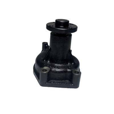 Avantage Pompa idrica per motori C490BPG 490B-42100 490B-42000 per il trasporto a motore