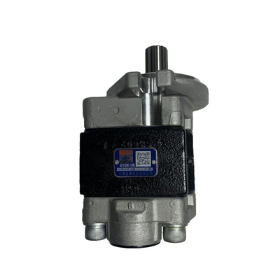 SGP1A32D4H1-1489D per il carrello elevatore R305-601100-000