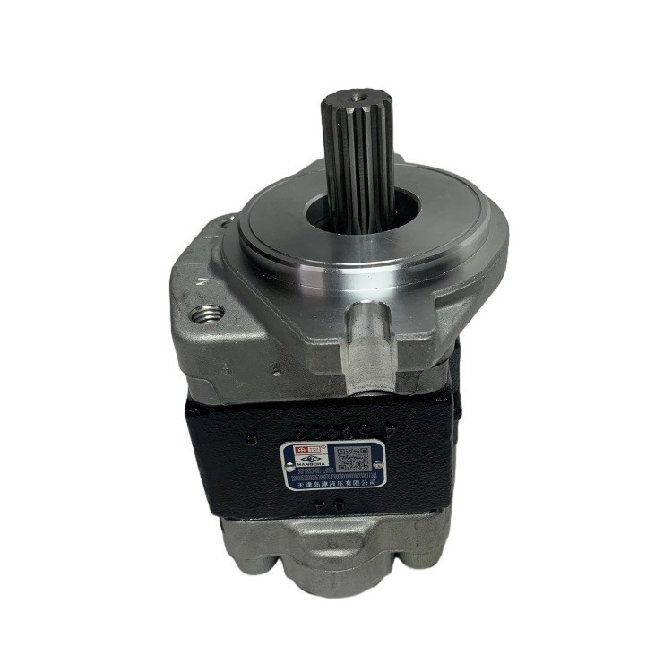 SGP1A32D4H1-1489D per il carrello elevatore R305-601100-000