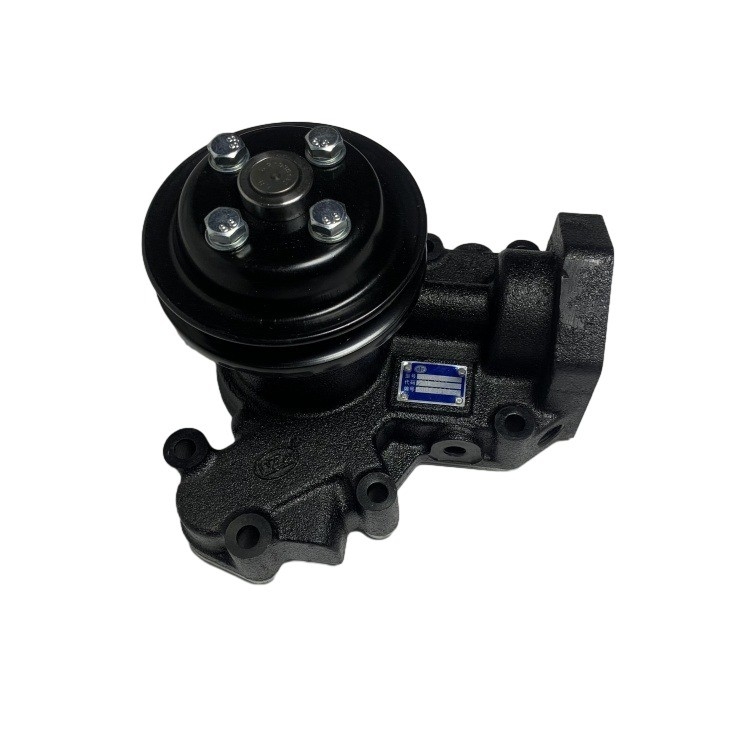 Xichai 4DW91 Motore a forchetta diesel Pompa d'acqua per fabbricazione di energia 1307010-B5V-0000